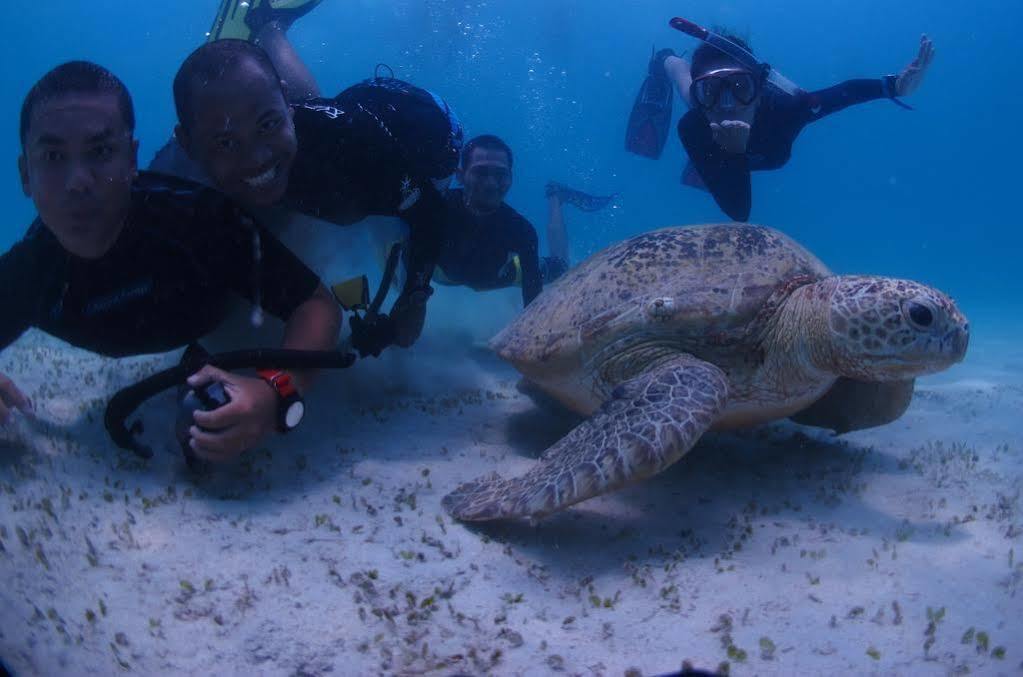 Ombak Dive Resort Pulau Perhentian Kecil Exteriör bild
