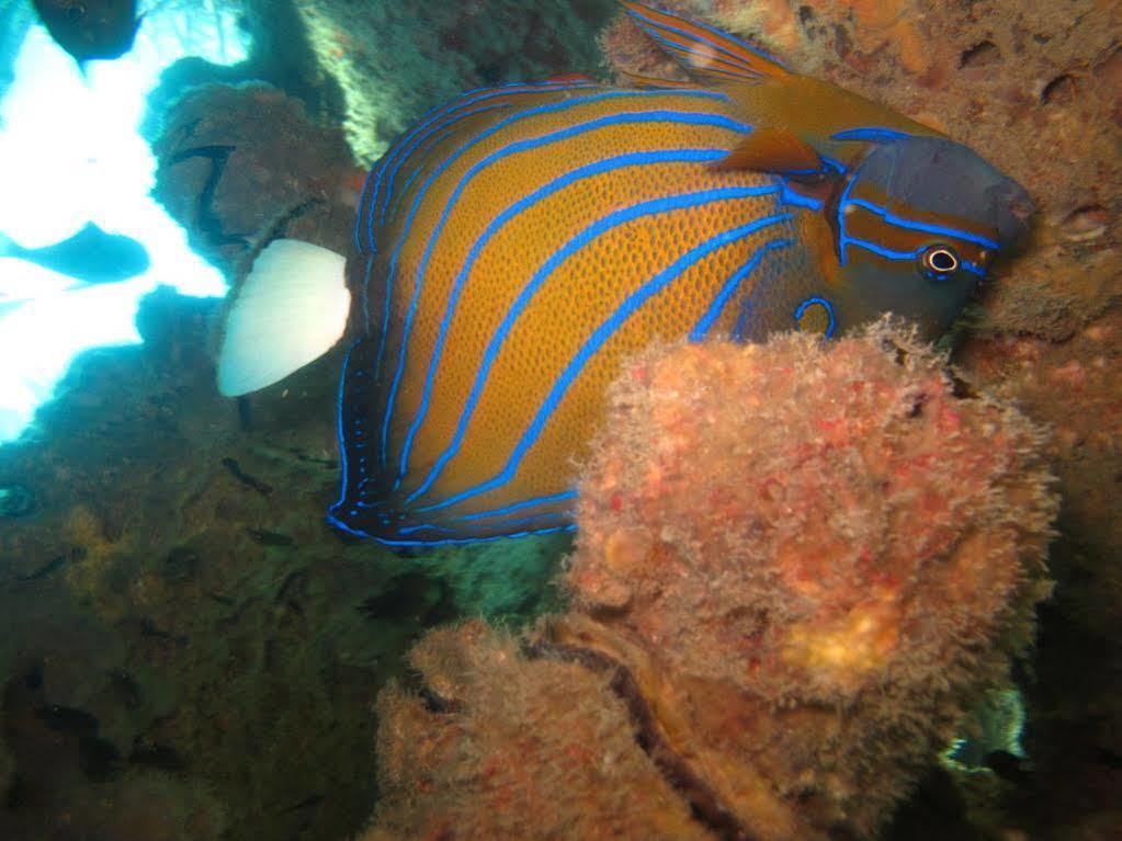 Ombak Dive Resort Pulau Perhentian Kecil Exteriör bild